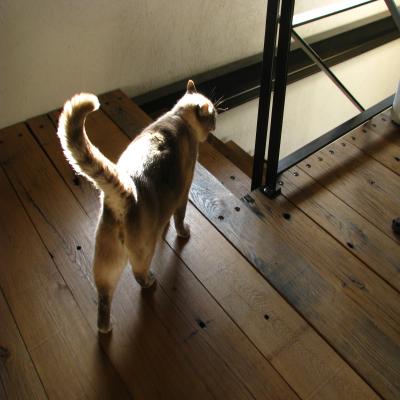 Plancher Wagon Chêne ancien